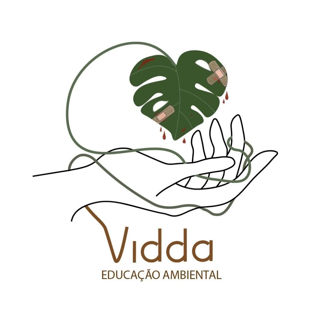 Vidda Ambiental