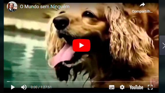 O mundo sem ninguém